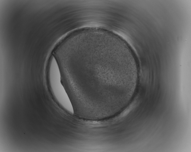 X0000088690783200706282001