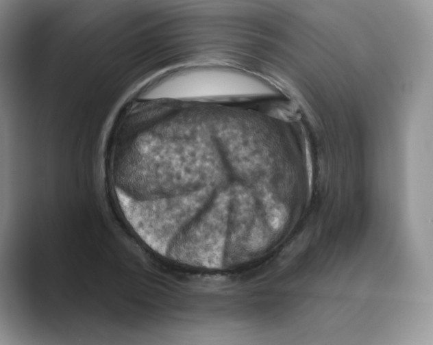 X0000088690784200706282001