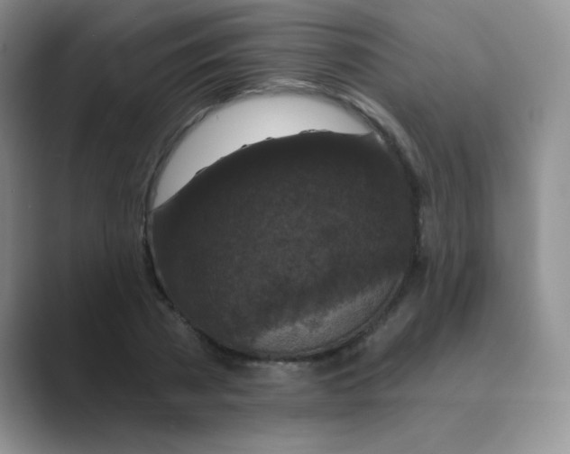 X0000088690785200706282001