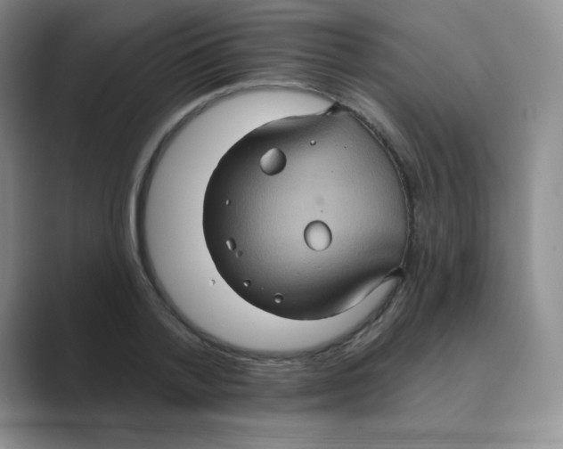 X0000088690788200706282001