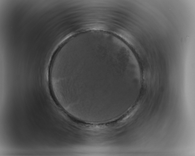 X0000088690790200706282001