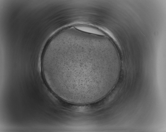 X0000088690791200706282001