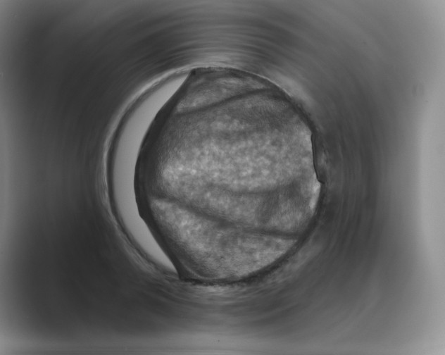 X0000088690792200706282001