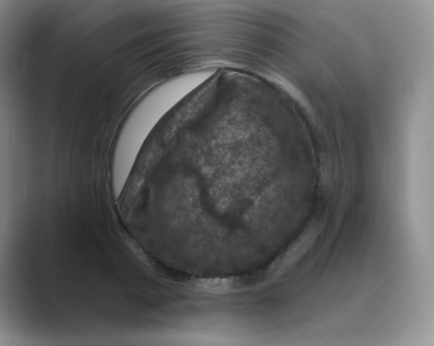 X0000088690793200706282001