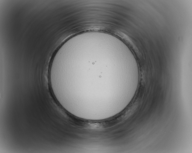 X0000088690794200706282001