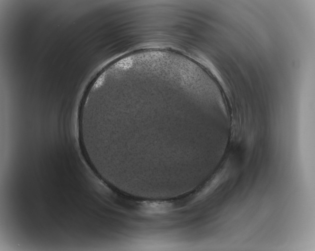 X0000088690795200706282001