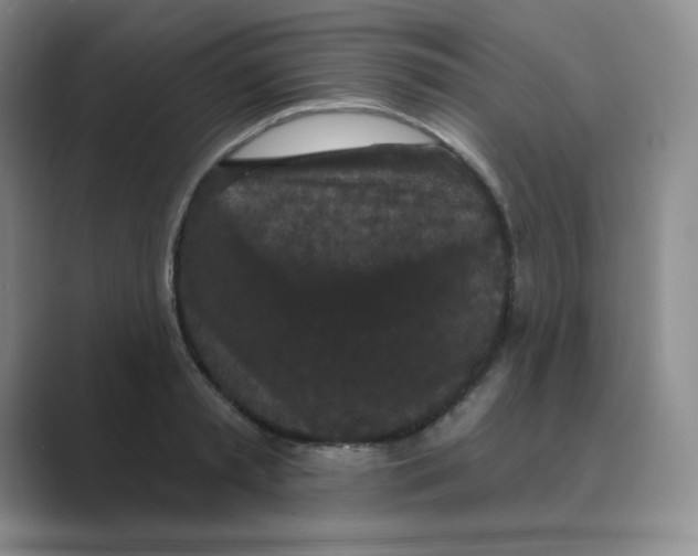 X0000088690797200706282001