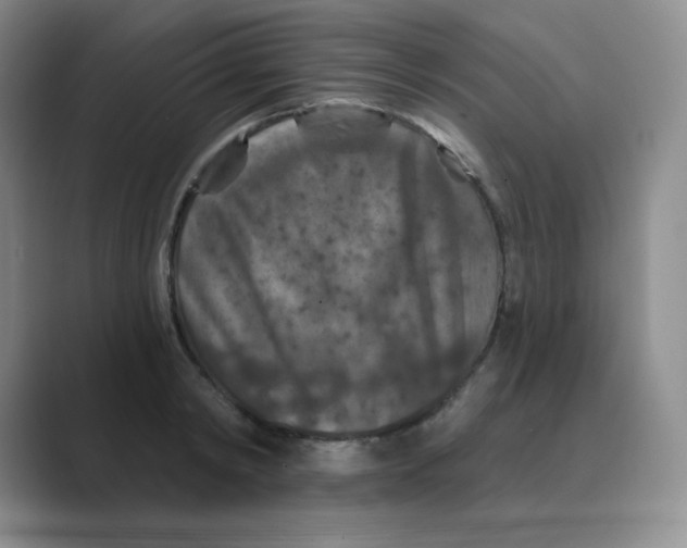 X0000088690798200706282001