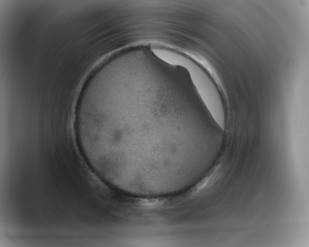 X0000088690799200706282001