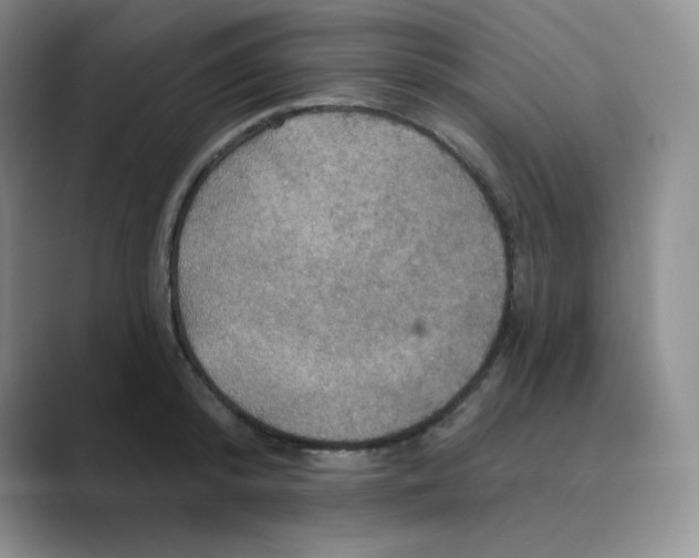 X0000088690800200706282001