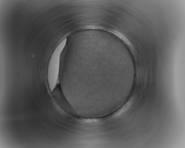 X0000088690801200706282001
