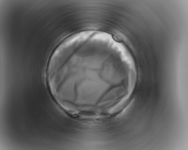 X0000088690802200706282001