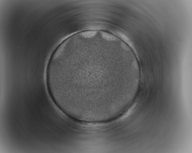X0000088690803200706282001