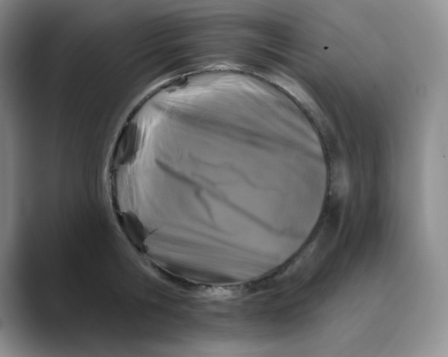 X0000088690806200706282001