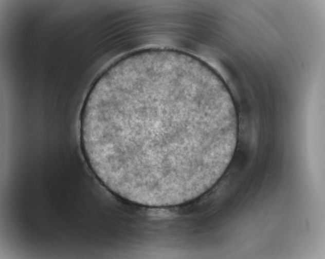 X0000088690807200706282001