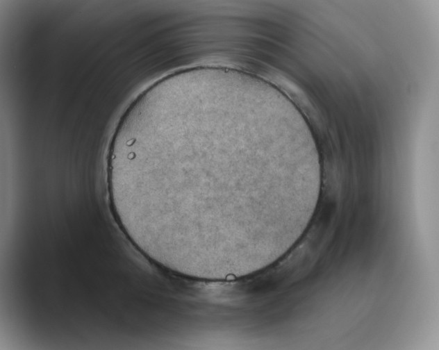 X0000088690808200706282001