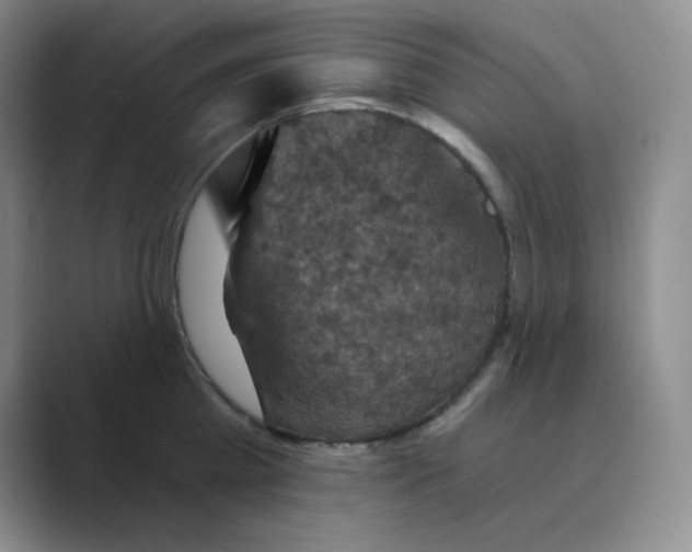 X0000088690809200706282001