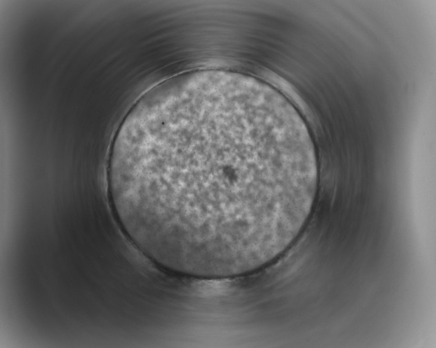 X0000088690810200706282001