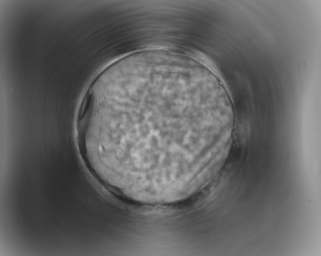 X0000088690811200706282001