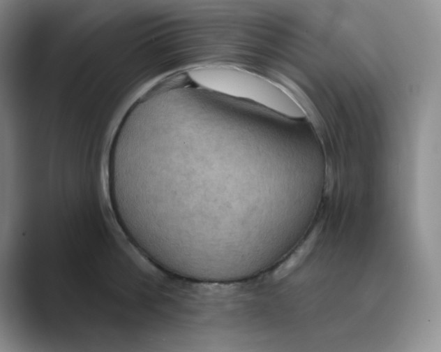 X0000088690812200706282001