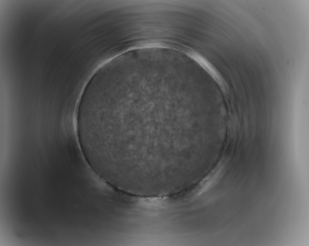 X0000088690813200706282001