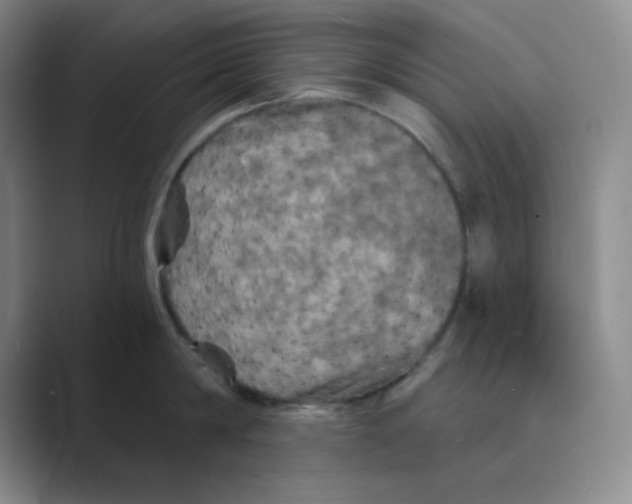 X0000088690814200706282001