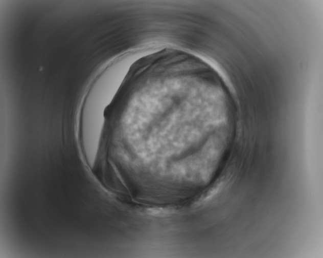 X0000088690815200706282001
