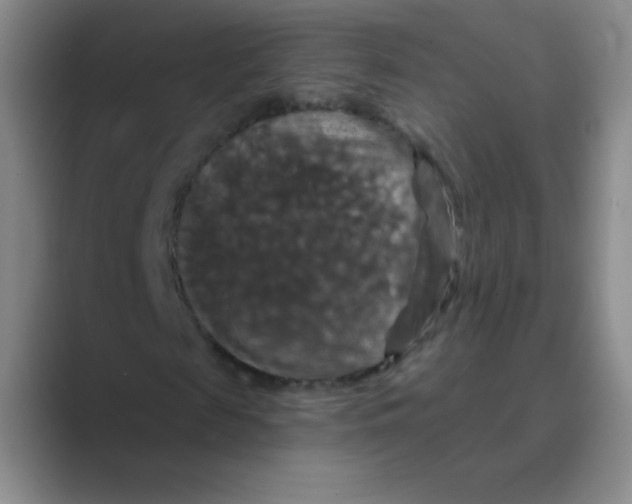 X0000088690817200706282000