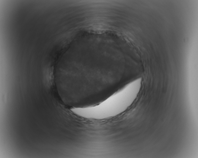 X0000088690818200706282000