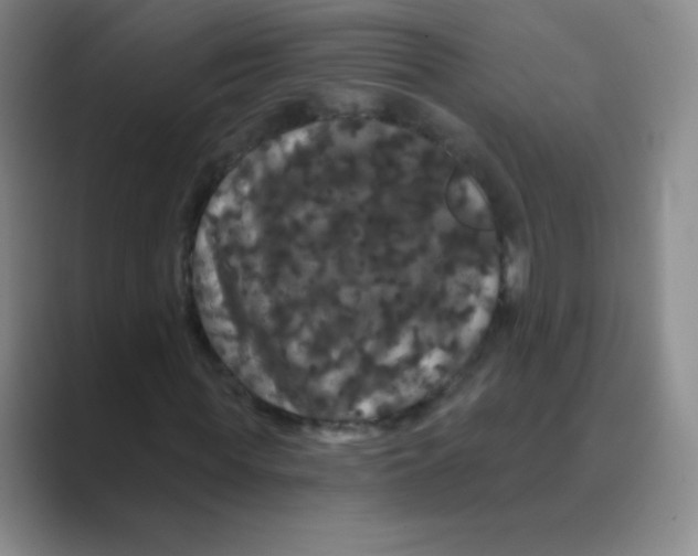 X0000088690819200706282000