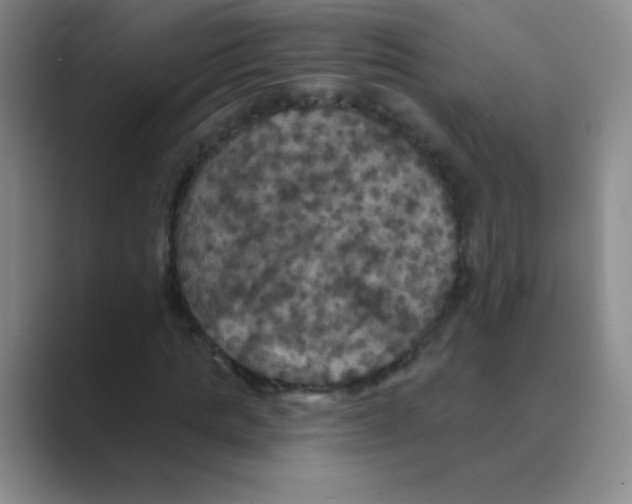 X0000088690821200706282000