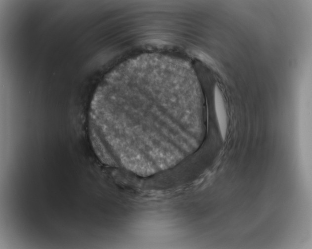X0000088690822200706282000