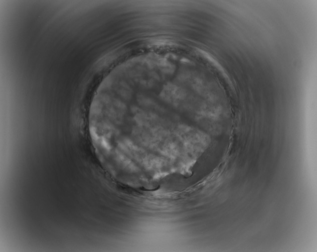 X0000088690823200706282000
