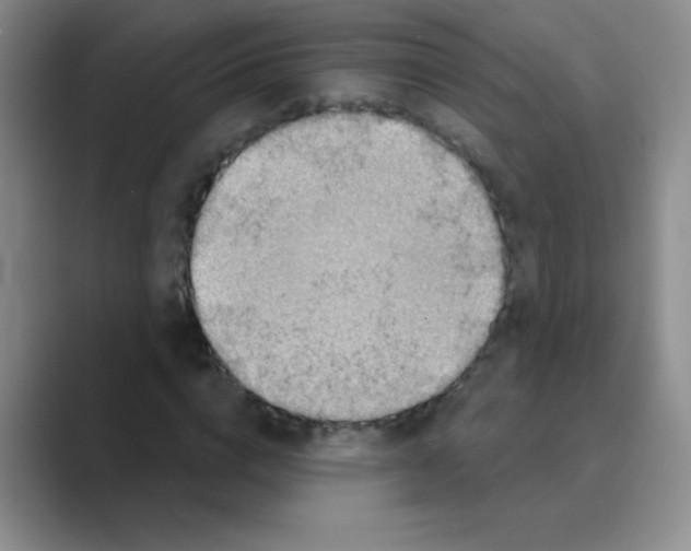 X0000088690824200706282000
