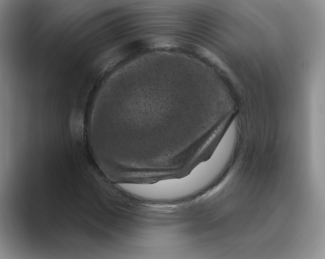 X0000088690825200706282001