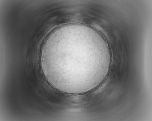 X0000088690828200706282001