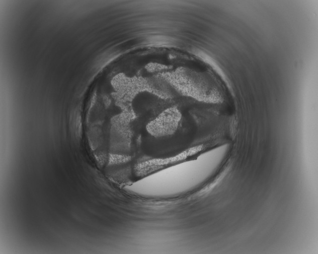 X0000088690829200706282001