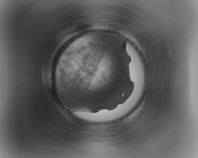 X0000088690830200706282001