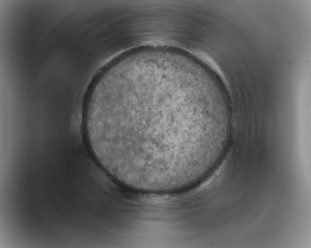 X0000088690831200706282001