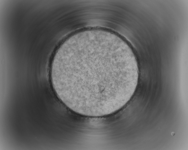 X0000088690832200706282001