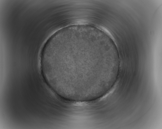 X0000088690835200706282001