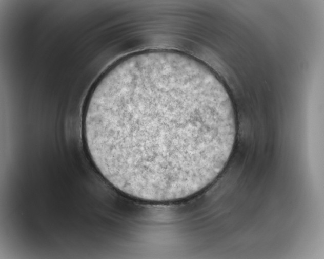 X0000088690836200706282001