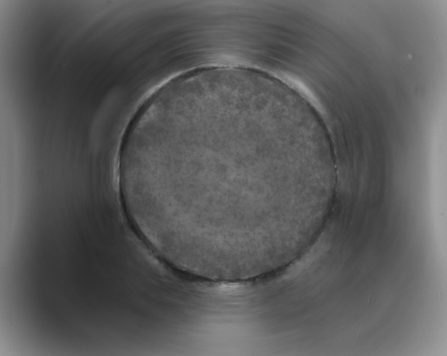 X0000088690839200706282001