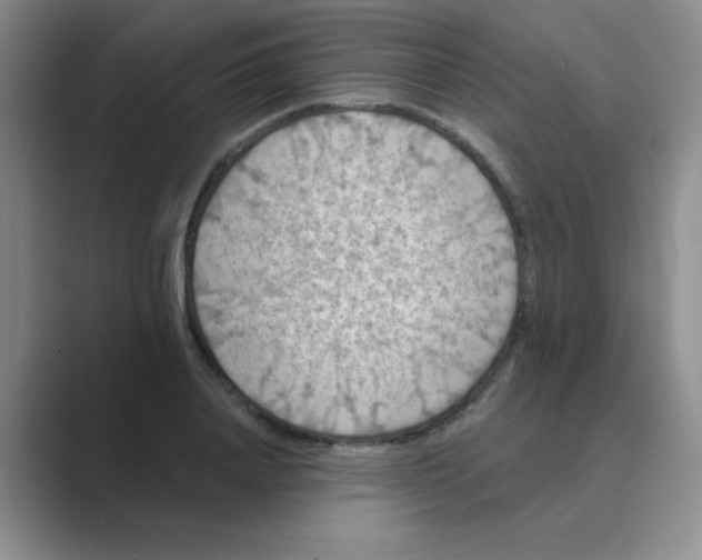 X0000088690840200706282001