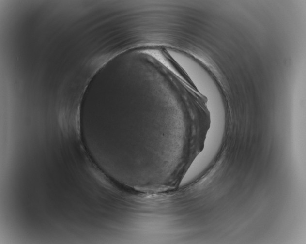 X0000088690842200706282001