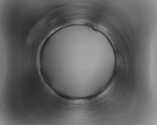 X0000088690843200706282001