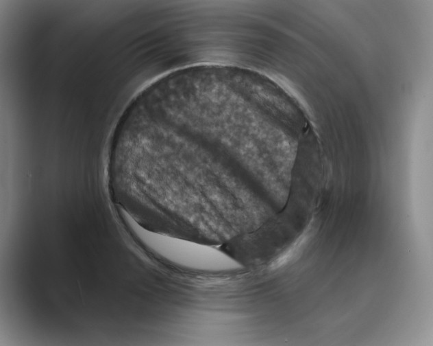 X0000088690846200706282001