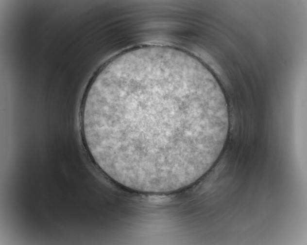 X0000088690848200706282001