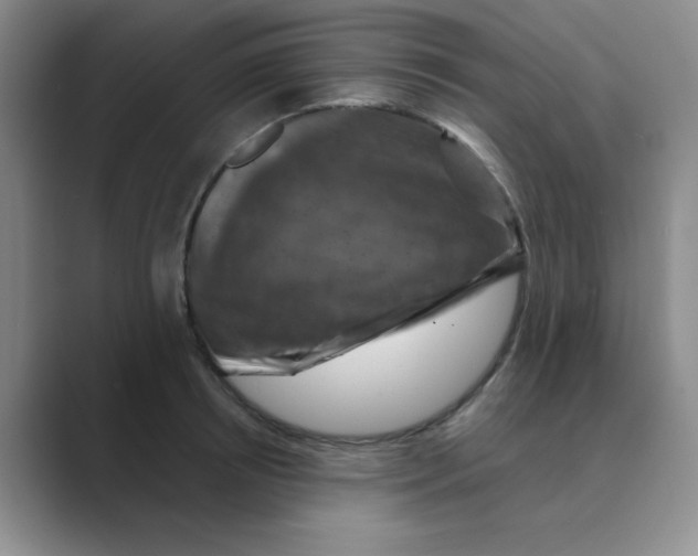 X0000088690850200706282001