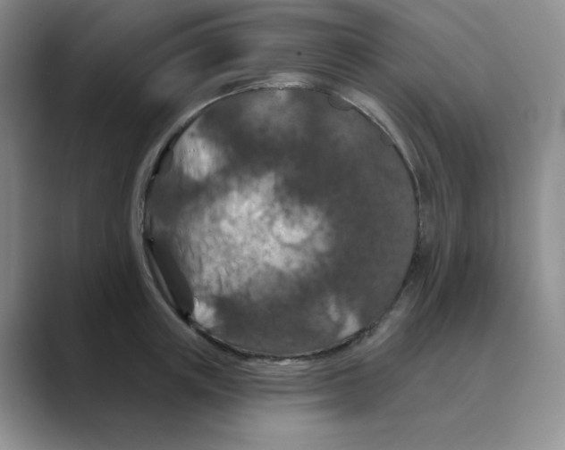 X0000088690851200706282001